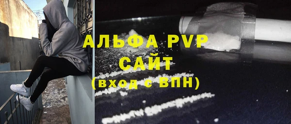 прущие грибы Горняк