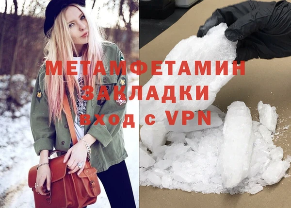 прущие грибы Горняк