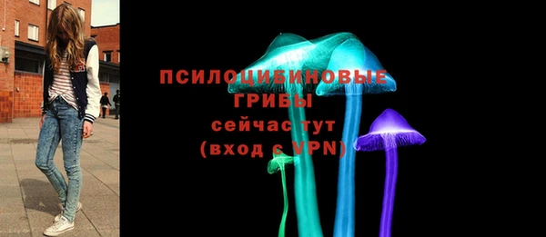 прущие грибы Горняк