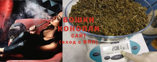 гидропоника Горнозаводск