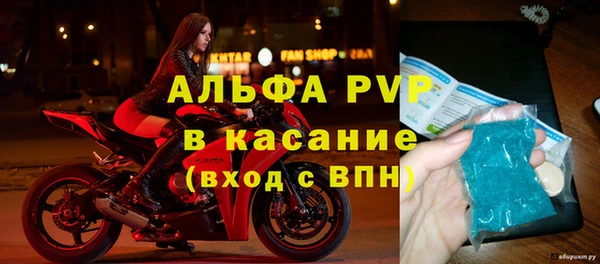 прущие грибы Горняк
