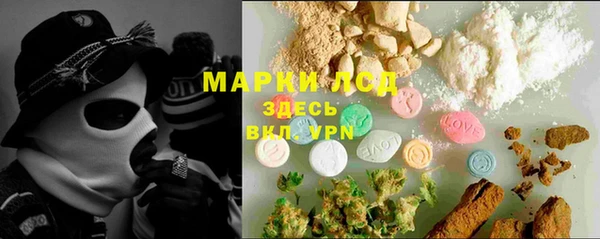 прущие грибы Горняк