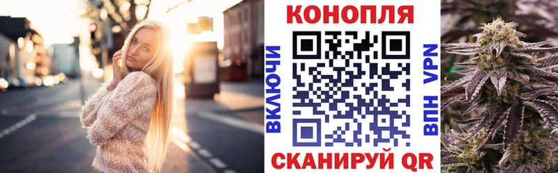 Канабис план Калач